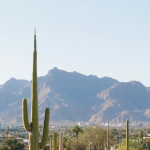 Scottsdale activities